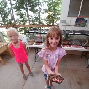 Meet your Posher, Alan